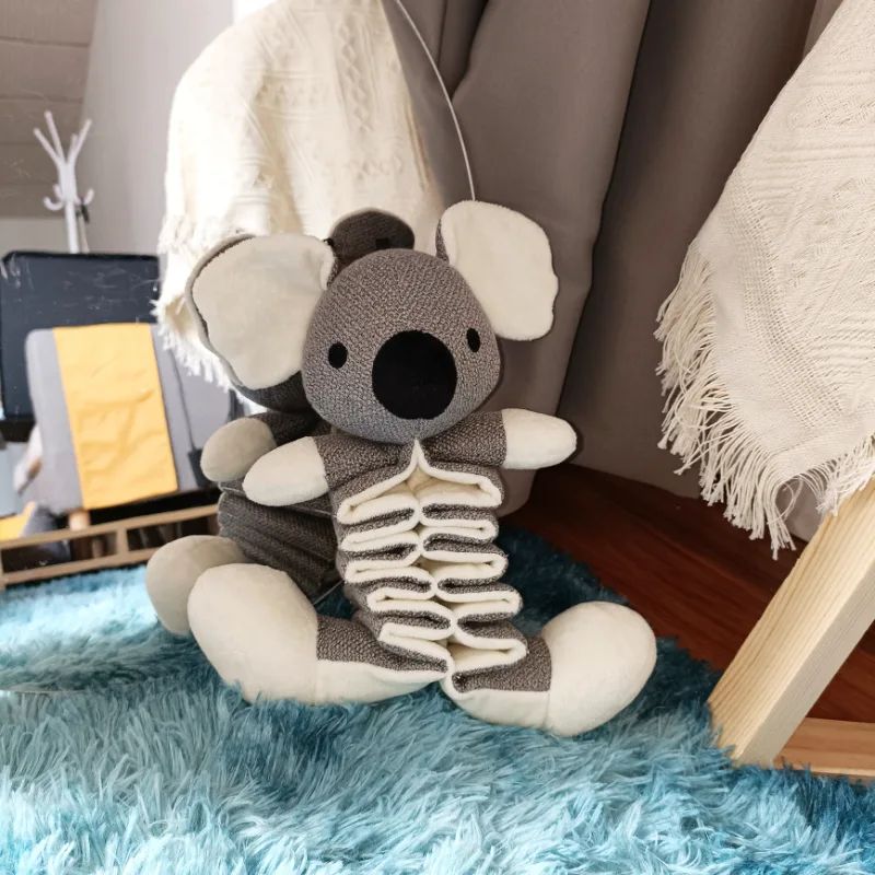 Tôi nên chú ý gì khi mua đồ chơi chơi thú cưng cho mèo?