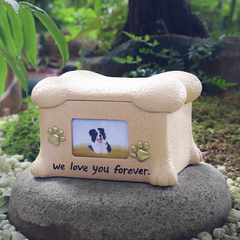 Urns tưởng niệm thú cưng cho phép tình yêu và sự đồng hành tiếp tục