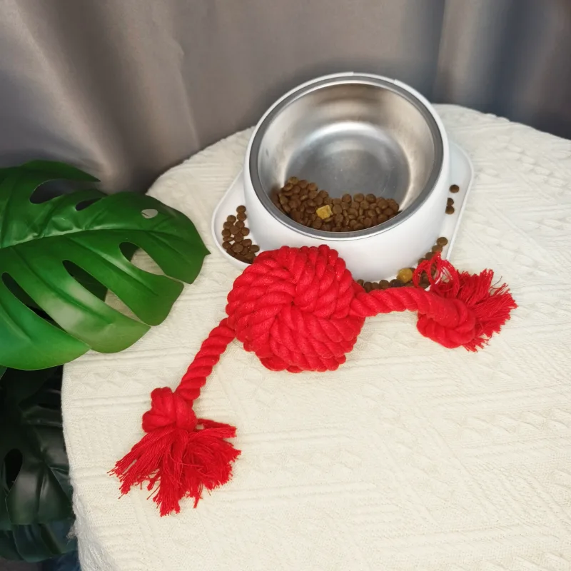 Đồ chơi chó bện dây