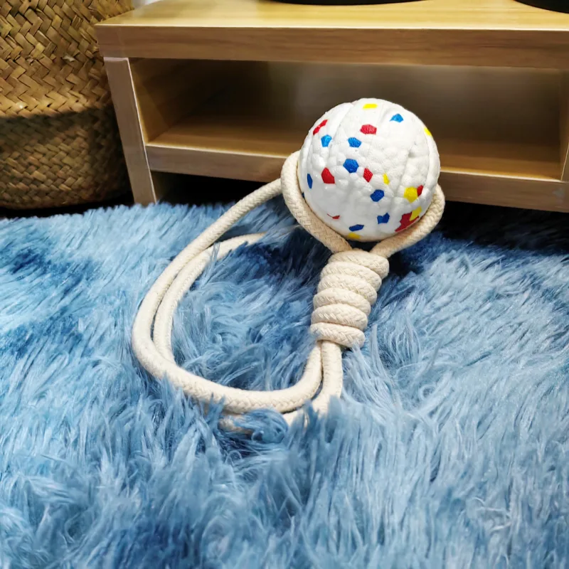 Đồ chơi chó nhai dây tương tác
